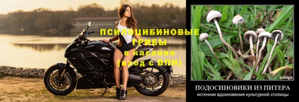 альфа пвп Осташков
