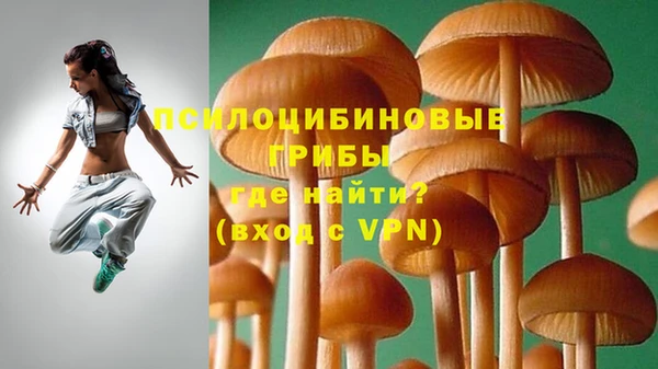 ГАЛЛЮЦИНОГЕННЫЕ ГРИБЫ Баксан