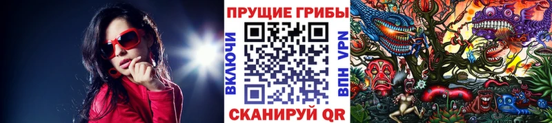 Галлюциногенные грибы прущие грибы  Полярный 