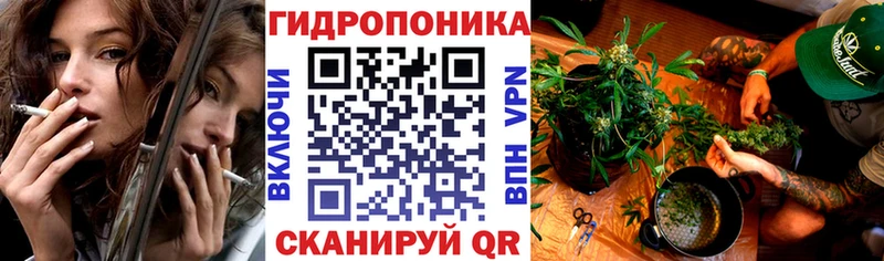 Бошки марихуана SATIVA & INDICA  OMG вход  Полярный 